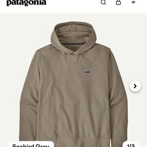 Patagonia Men's Daily Hoody Sweatshirt